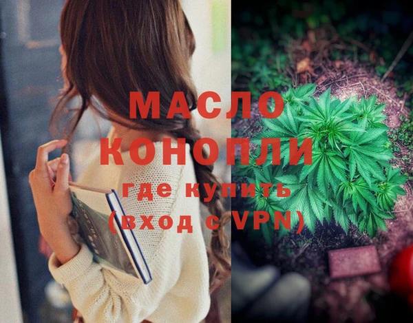 гашиш Богданович